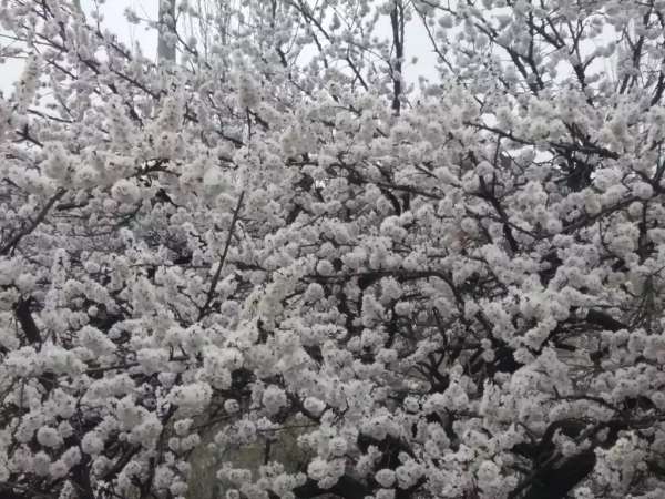 Пока в нашем «сумасшедшем» мире все меняется ежесекундно, природа