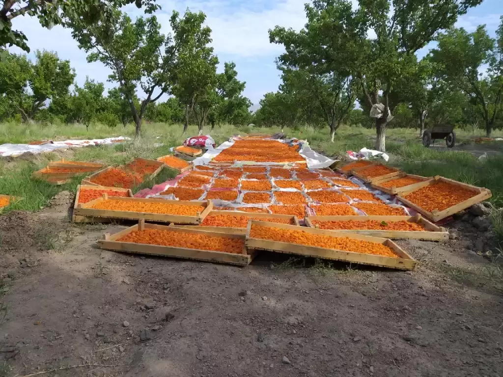 Главная